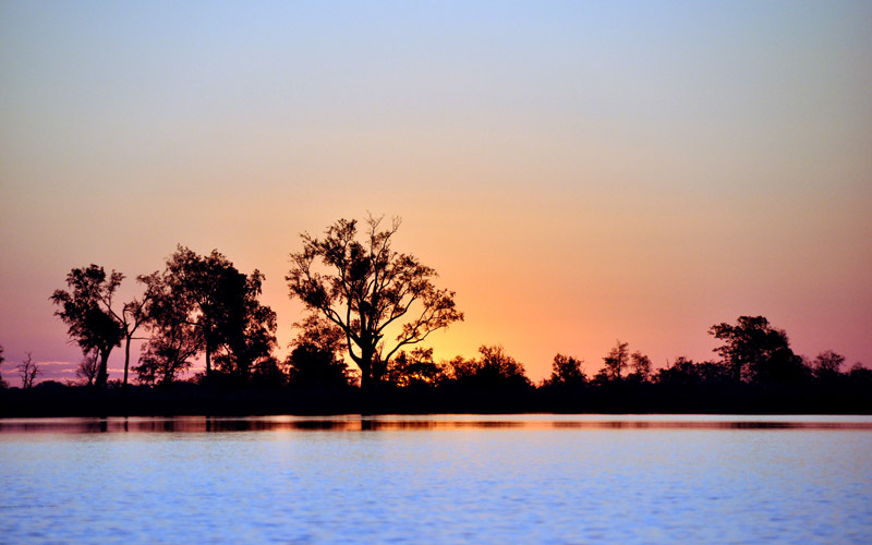 [GRANDES RÉSERVES ANIMALIÈRES] Le delta de l’Okavango au Botswana