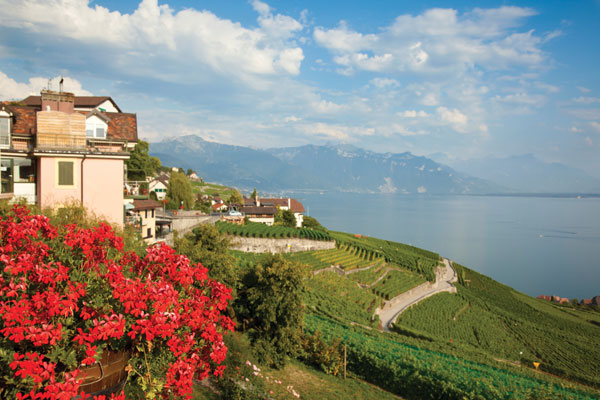 La qualité des vins suisses : un secret bien gardé… enfin dévoilé !