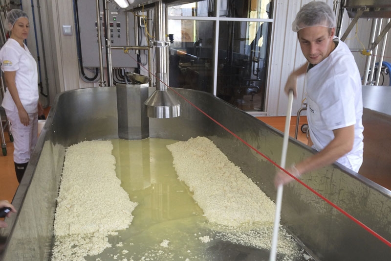 La fabrication du fromage en grains frais du jour renaît à Québec