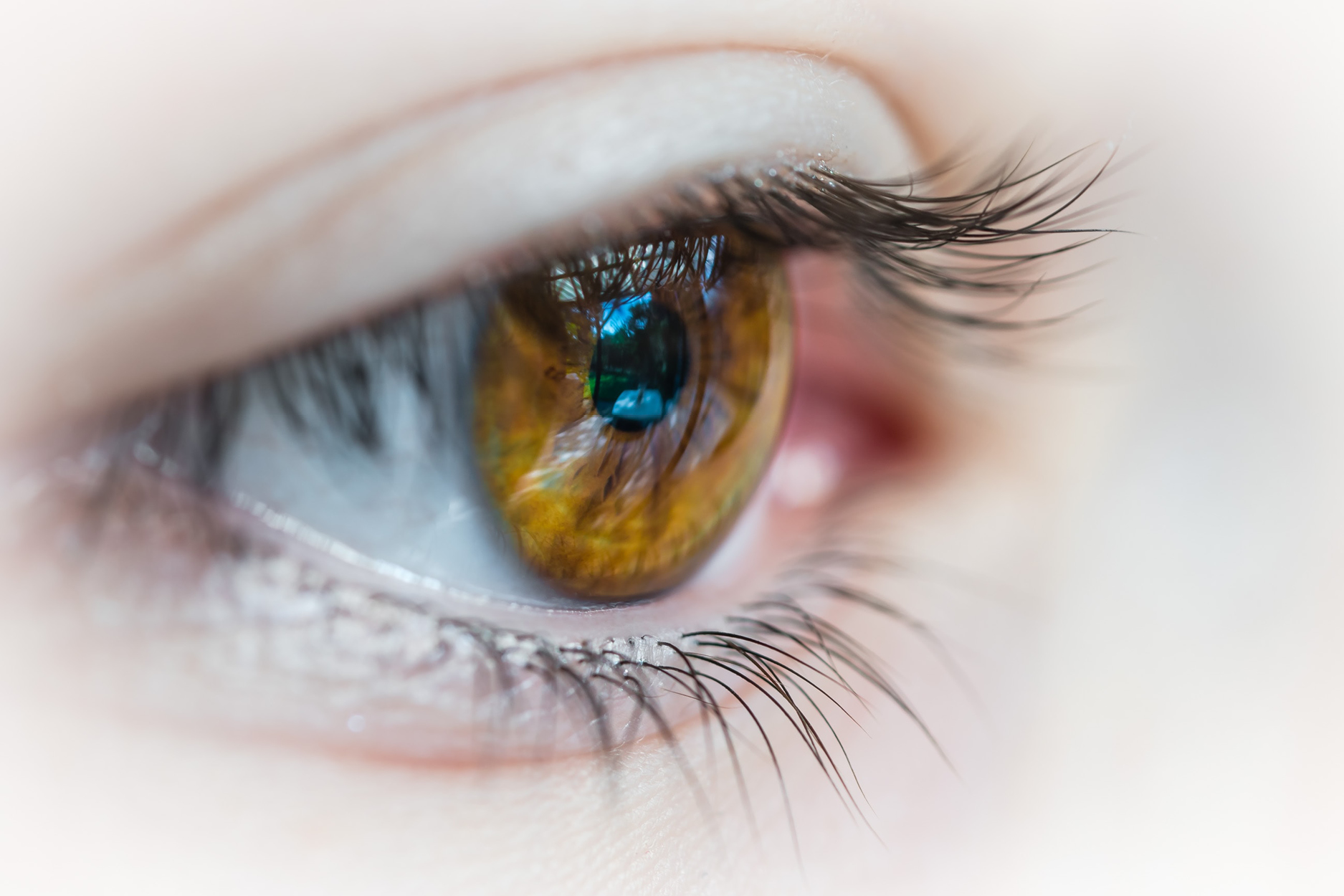 Covid-19 – Eye Am Soins oculaires cesse ses activités commerciales mais continue d’offrir des soins aux personnes aux prises avec des urgences oculaires