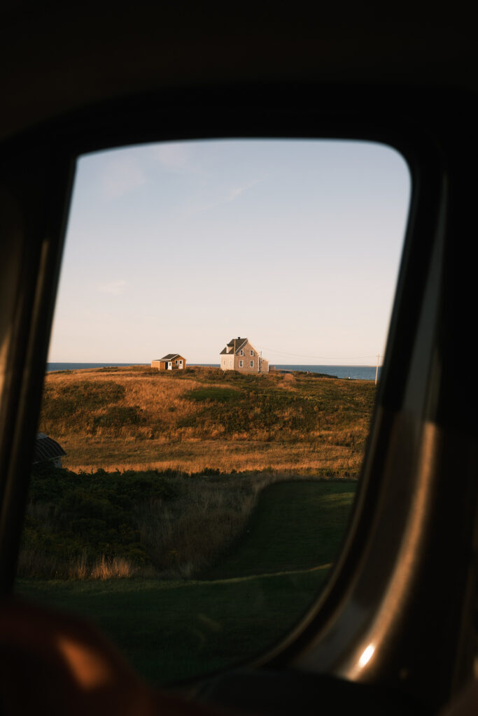 vue van