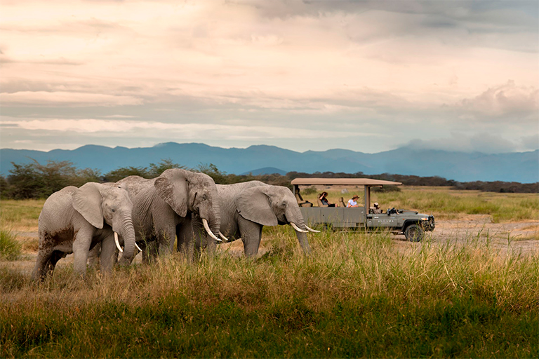 Angama Amboseli : le luxe d’un safari au pied du Kilimandjaro