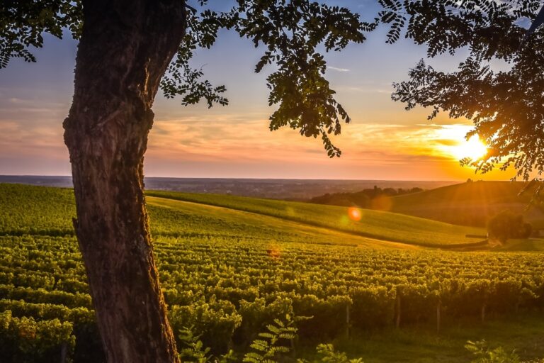Bordeaux 2027 : voiles et vignobles